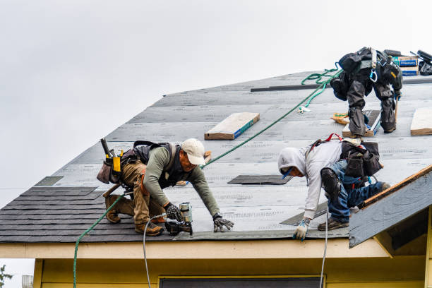Professional Gutter Installation technician working in Springville, VA